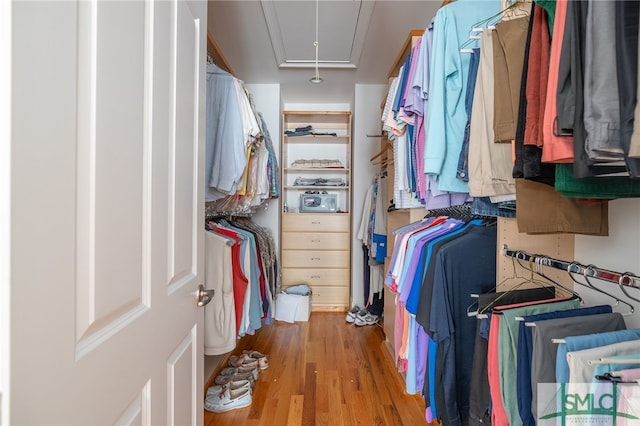 walk in closet with light hardwood / wood-style flooring