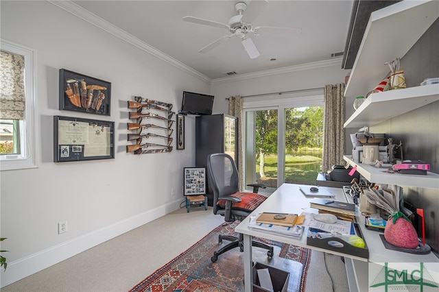 carpeted home office featuring ceiling fan and crown molding