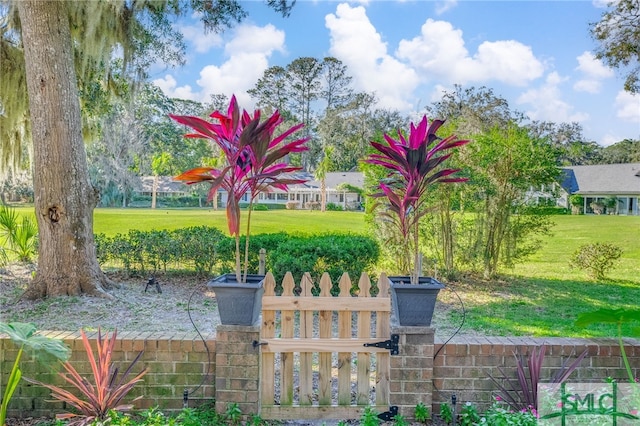 view of home's community featuring a yard