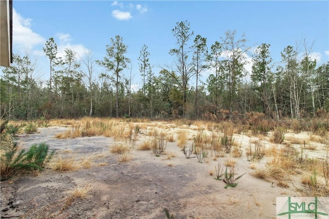 view of local wilderness