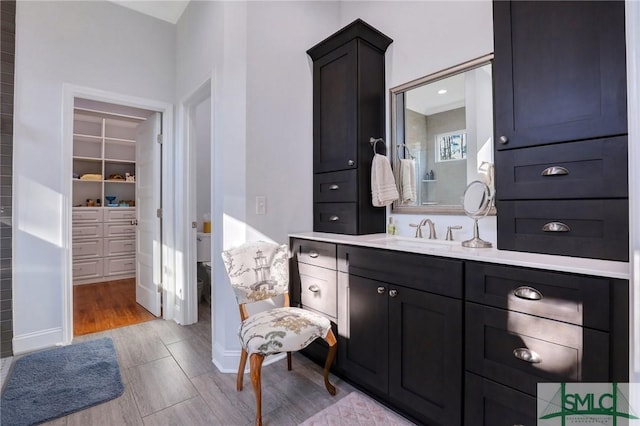 bathroom featuring hardwood / wood-style flooring and vanity