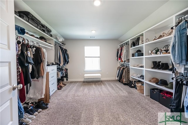 walk in closet with carpet