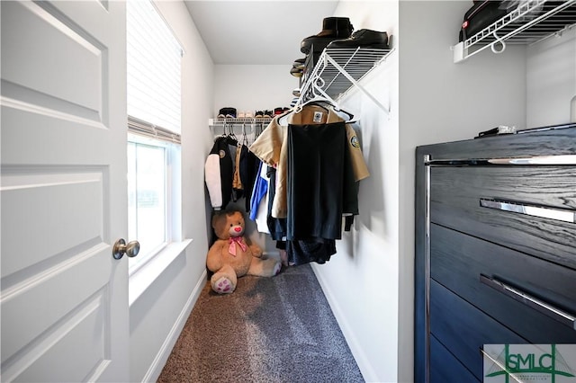 spacious closet featuring carpet