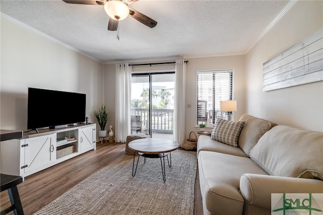 1217 Bay St Unit 105A, Tybee Island, GA 31328 - living area with a textured ceiling, wood finished floors, crown molding, and a ceiling fan