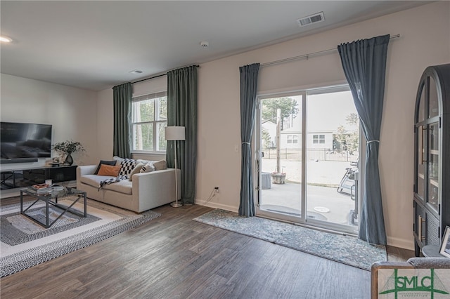 living room with hardwood / wood-style flooring