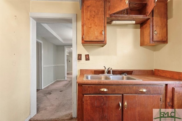 kitchen with light carpet, sink, and a textured ceiling