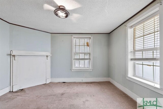 unfurnished room featuring a wealth of natural light, light carpet, and a textured ceiling