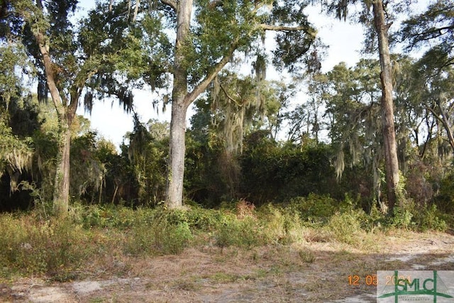 Listing photo 2 for 0 Adel St, Savannah GA 31405