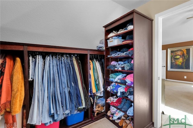 walk in closet with light carpet