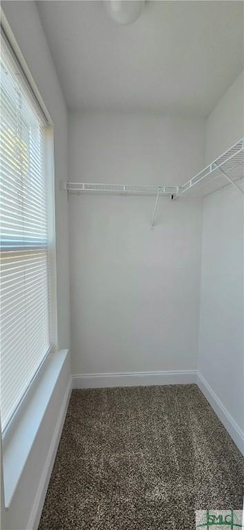 spacious closet with carpet