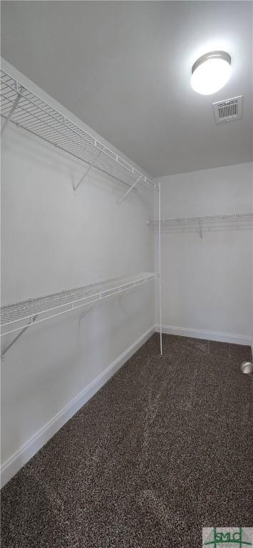 walk in closet featuring carpet