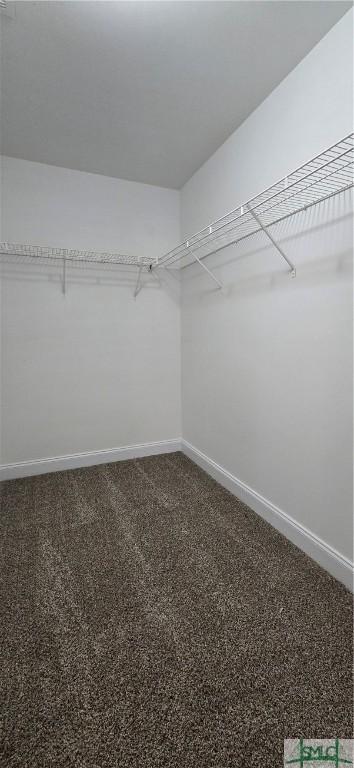 spacious closet with carpet flooring