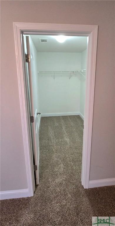 walk in closet with carpet flooring