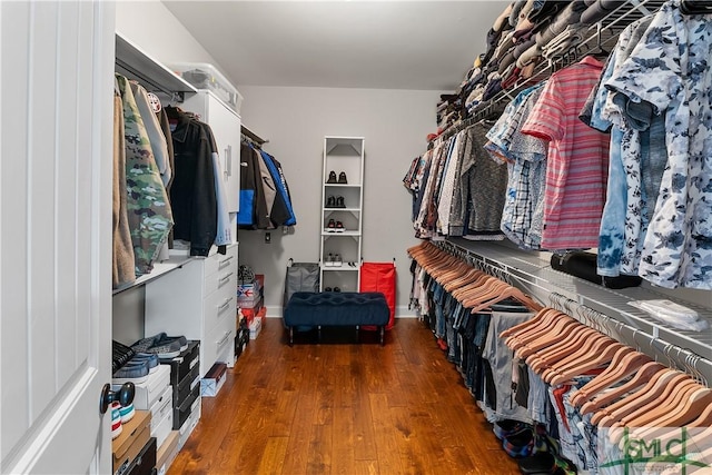 spacious closet with dark hardwood / wood-style floors