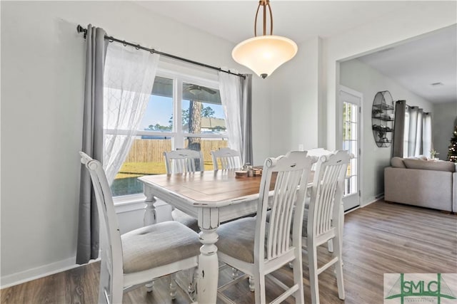 dining space featuring a healthy amount of sunlight and wood-type flooring