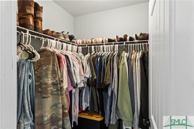 view of walk in closet