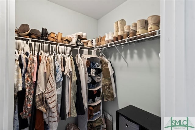 view of spacious closet