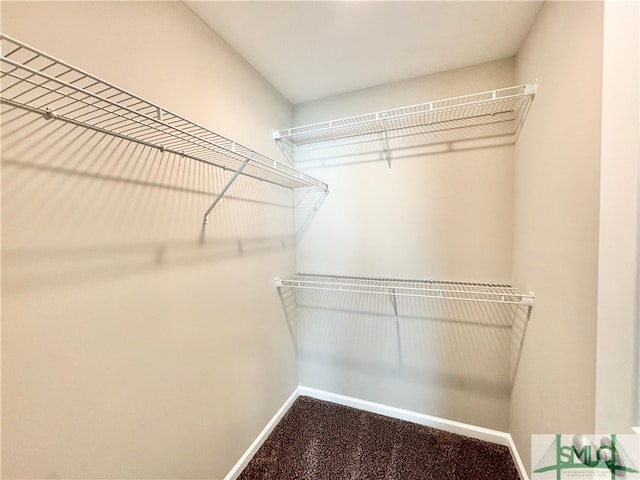 walk in closet featuring carpet flooring