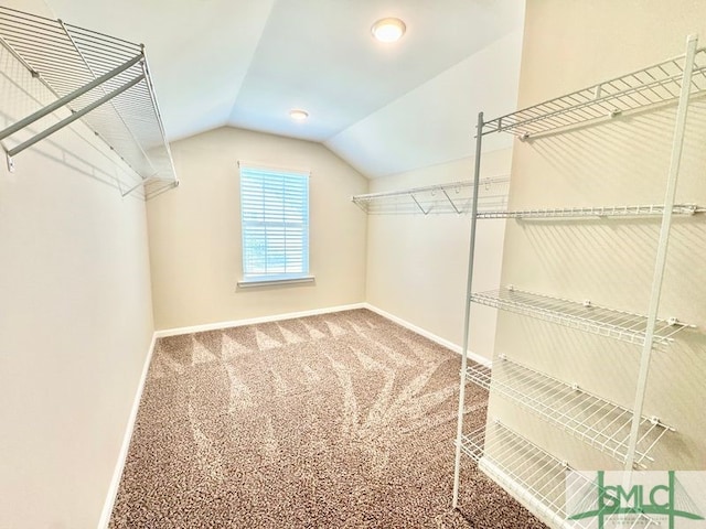 spacious closet with lofted ceiling and carpet floors