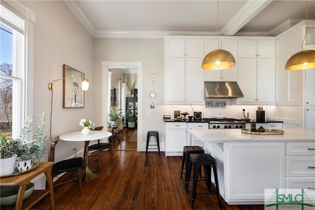 kitchen with dark wood-type flooring, ornamental molding, pendant lighting, and white cabinets