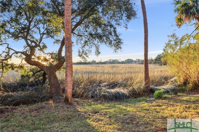 view of yard with a rural view