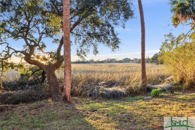 4105 Walden Park Dr, Savannah, GA 31410 - photo 3