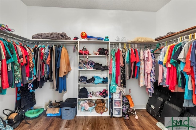 walk in closet with hardwood / wood-style floors