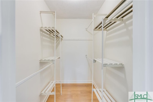 spacious closet featuring hardwood / wood-style floors