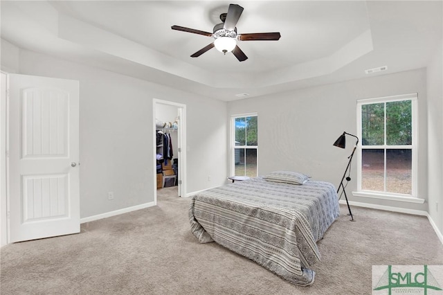 carpeted bedroom with a walk in closet, a tray ceiling, multiple windows, and ceiling fan