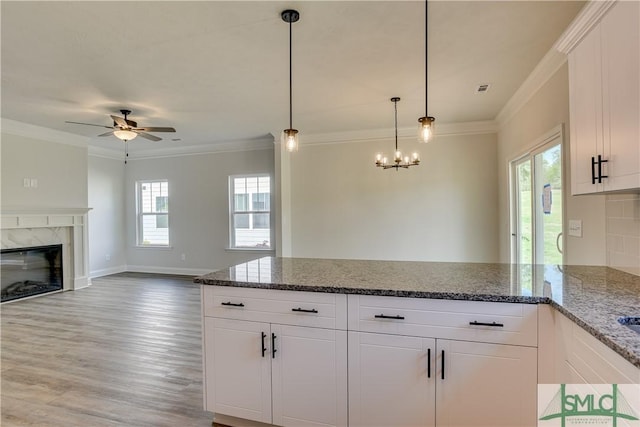 kitchen featuring white cabinetry, hardwood / wood-style floors, a premium fireplace, and ornamental molding