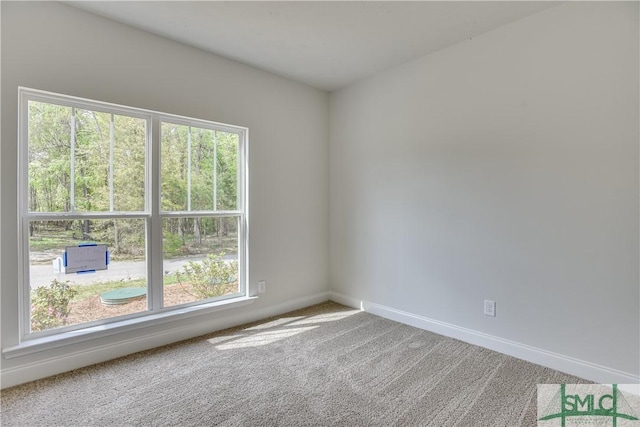 spare room with carpet floors