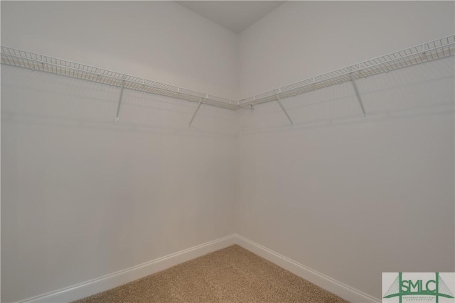 walk in closet with carpet floors