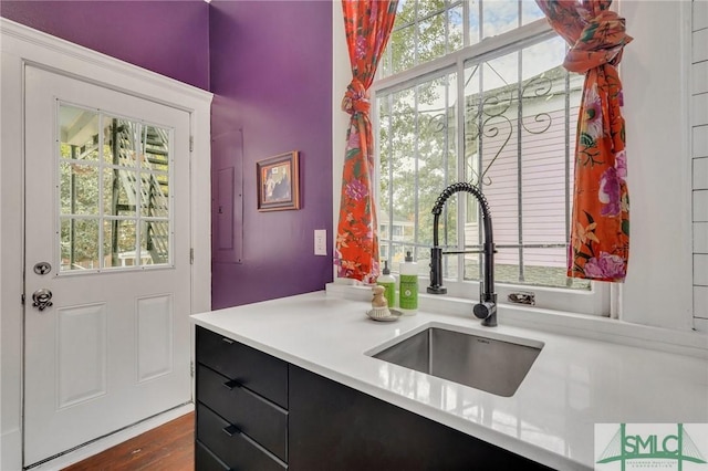 kitchen with dark hardwood / wood-style flooring and sink