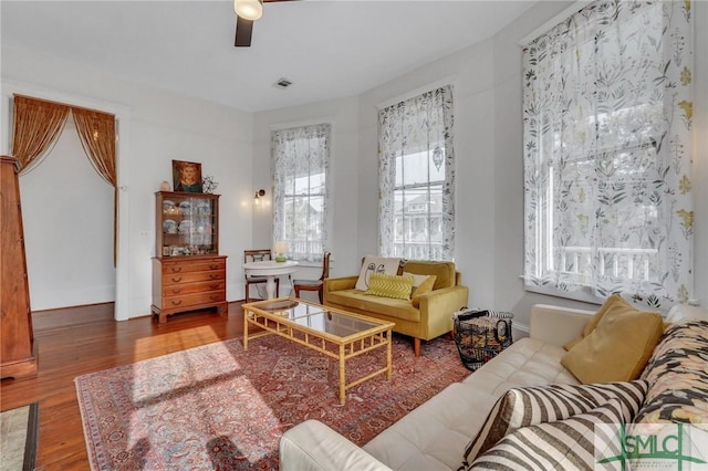 living room with ceiling fan and hardwood / wood-style flooring