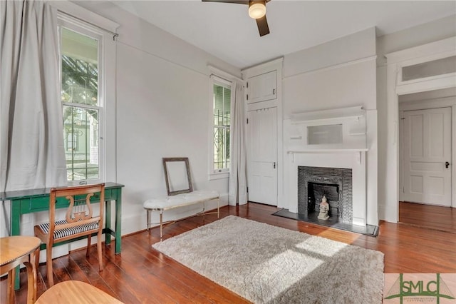 living room featuring ceiling fan and dark wood-type flooring