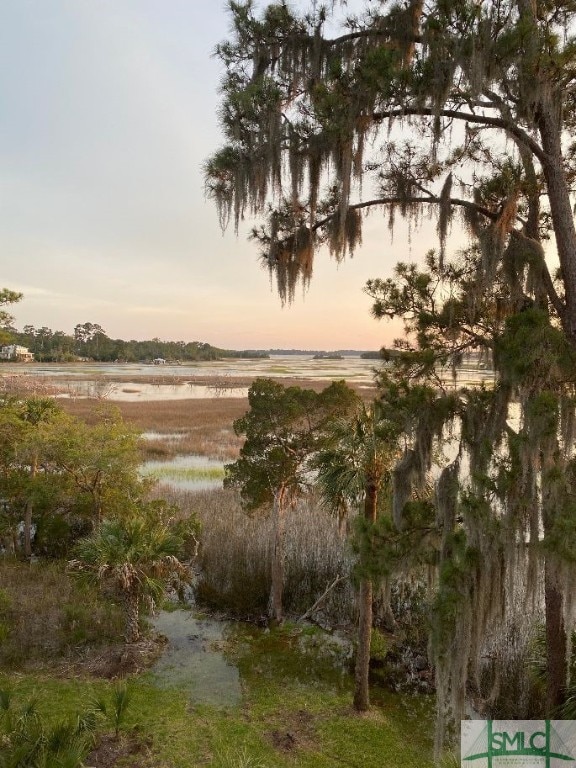 property view of water featuring a rural view