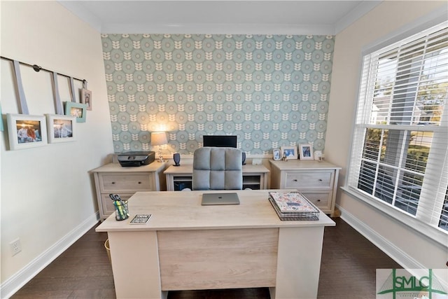 office space featuring dark hardwood / wood-style floors and crown molding