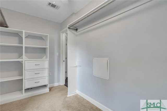 spacious closet with light colored carpet