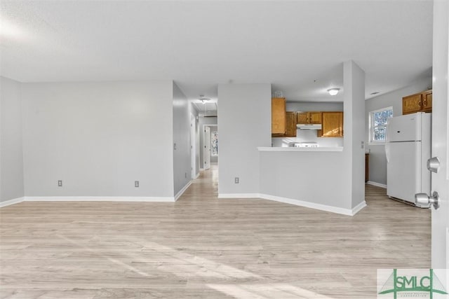 unfurnished living room with light wood-type flooring