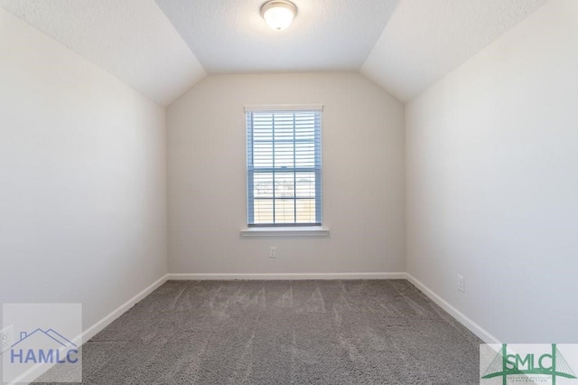 additional living space with vaulted ceiling, carpet, and a textured ceiling