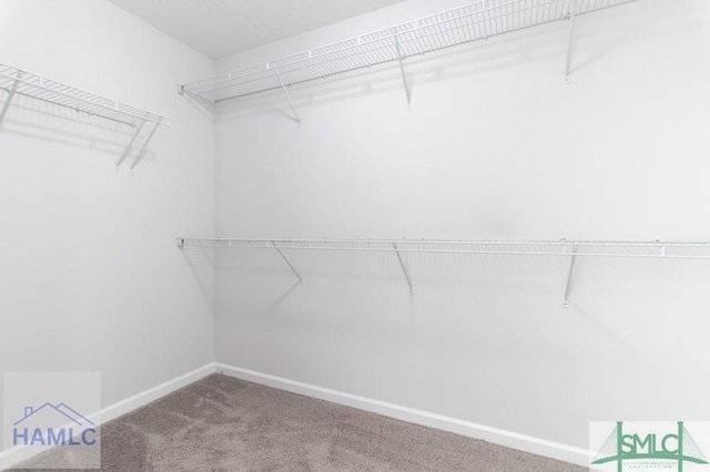 walk in closet featuring carpet