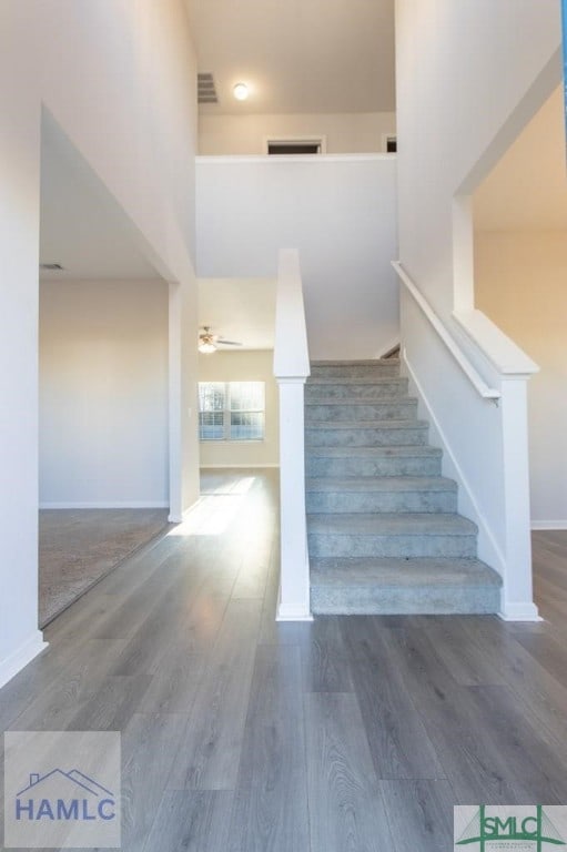 staircase featuring wood-type flooring and ceiling fan