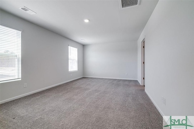 carpeted empty room featuring a wealth of natural light