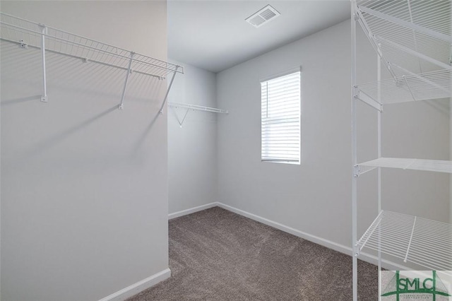 walk in closet with carpet flooring