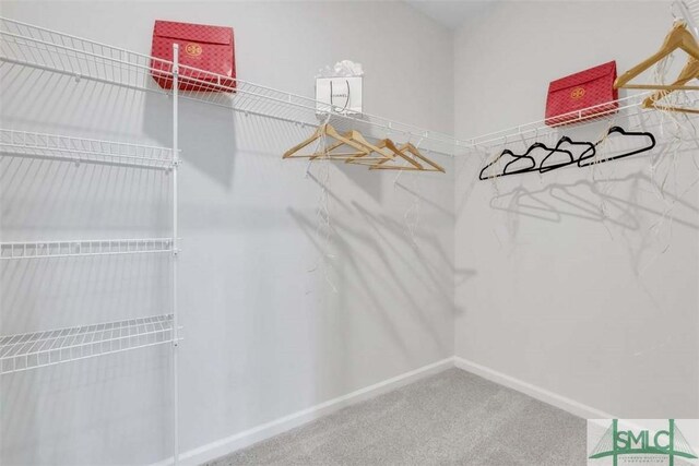 walk in closet with carpet