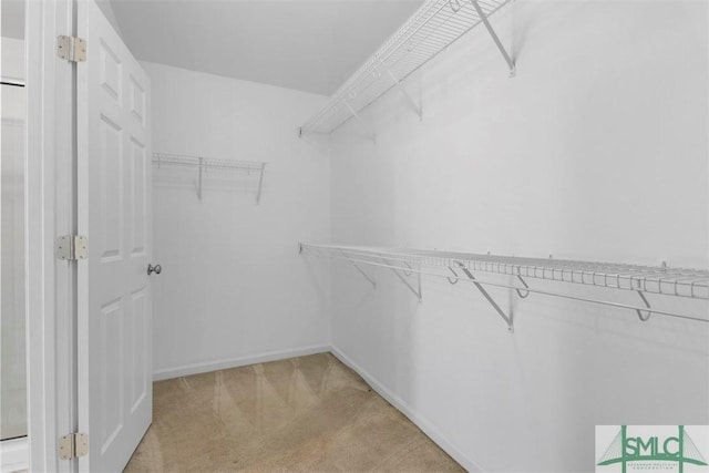 102 Wesleyan Dr, Savannah, GA 31419 - photo 23