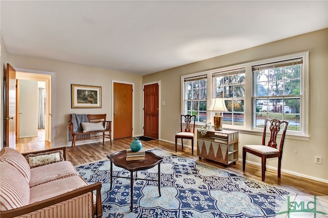 living room with a healthy amount of sunlight and wood-type flooring