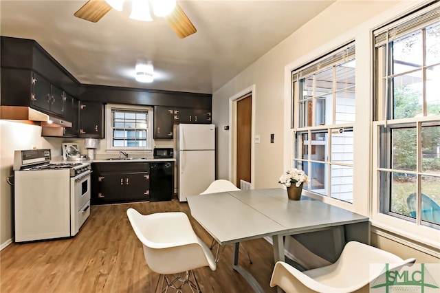 kitchen with ceiling fan, light hardwood / wood-style flooring, black appliances, and sink