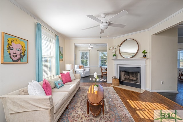 living room with ornamental molding, ceiling fan, and dark wood-type flooring