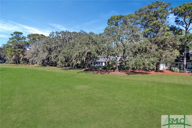 view of property's community featuring a yard